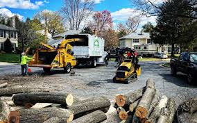 Best Tree Preservation Services  in Spearfish, SD